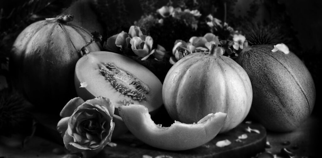 Fine Art Photography by Frank Iannotti, traditional photographic tray processing of silver gelatin prints on 100% Rag Paper