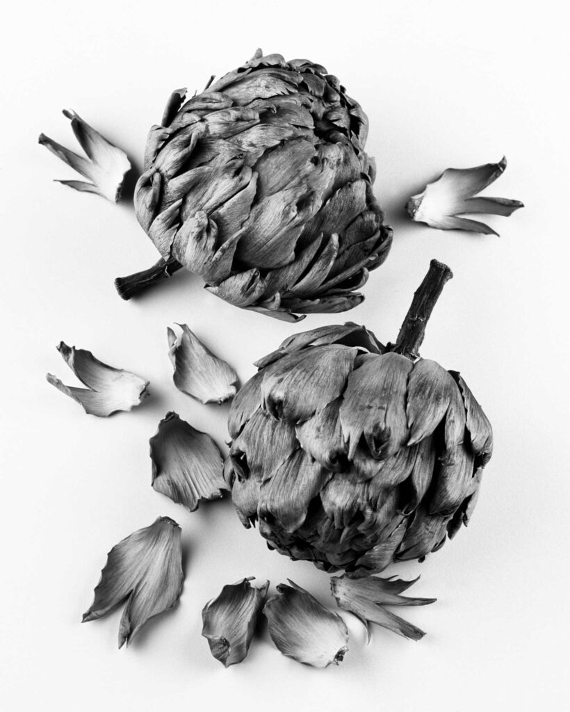 Fine Art Photography by Frank Iannotti,