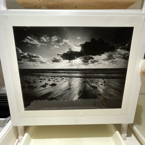 PL-SP220421-2-Large SG - Image 5