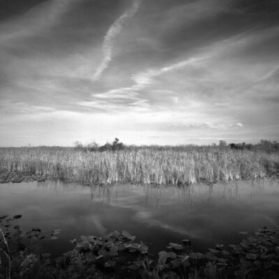 Arthur Marshall Wildlife Refuge_opus9_v2