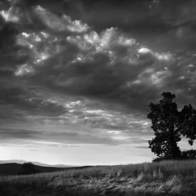 Virginia drive sunset-opus_II