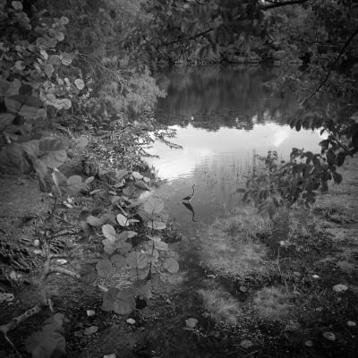 MORIKAMI_20250708DSC0453