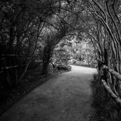 MORIKAMI_20250708DSC0459