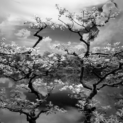 MORIKAMI_20250708DSC0494