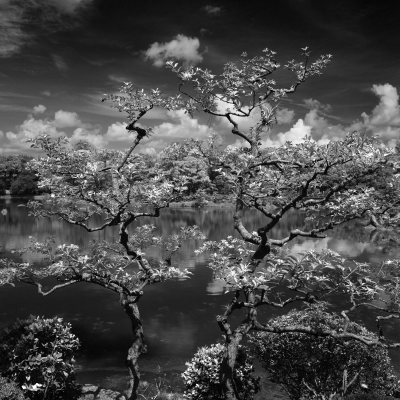 MORIKAMI_20250712DSC0549