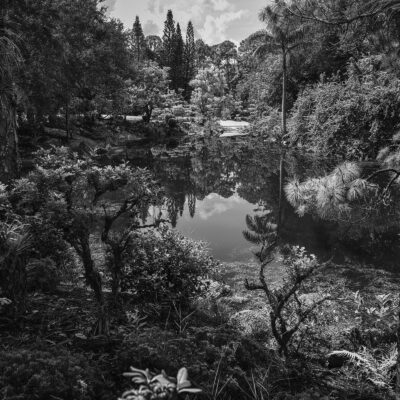 MORIKAMI_20250712DSC0550