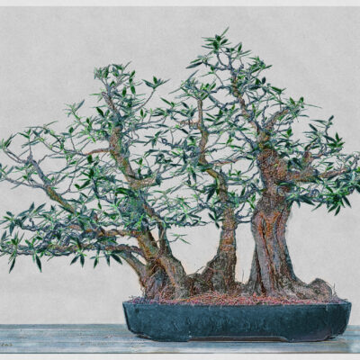 MORIKAMI_20250908_DSC0817