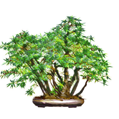 MORIKAMI_20250908_DSC0827