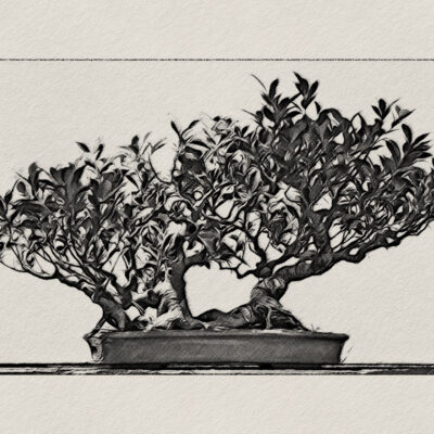 MORIKAMI_20250731DSC0632