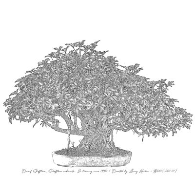 MORIKAMI_20250908_DSC0815