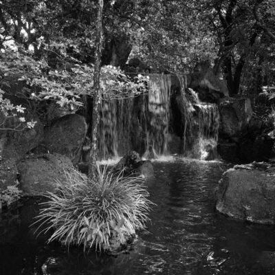 MORIKAMI_20250712DSC0532