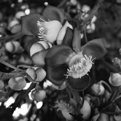 MORIKAMI-20250712DSC0557